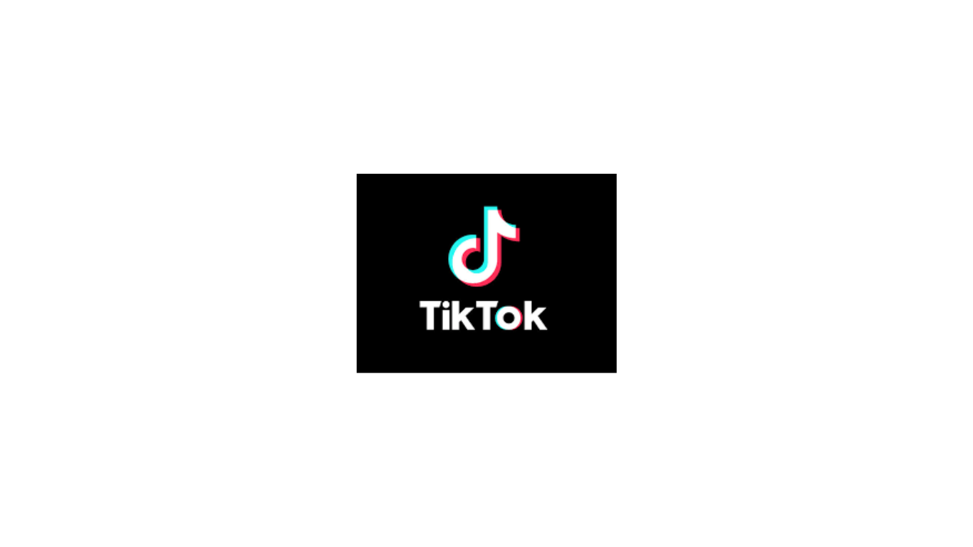 TikTok Icon